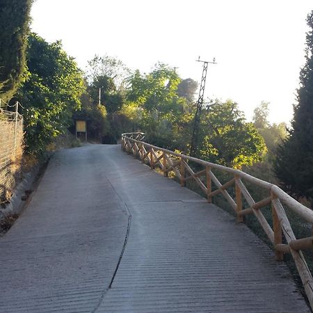 Alojamiento Rural La Casilla Касорла Екстер'єр фото